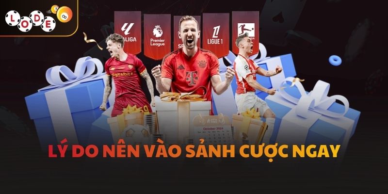 Lý do nên vào sảnh cược ngay