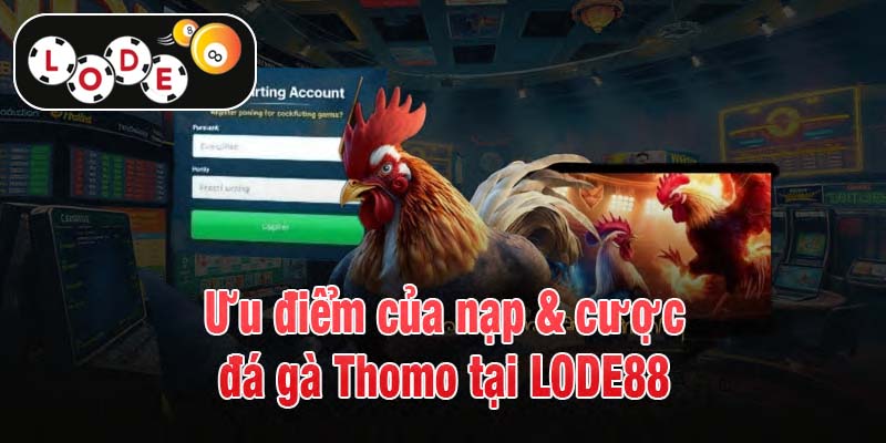 Ưu điểm của nạp & cược đá gà Thomo tại LODE88